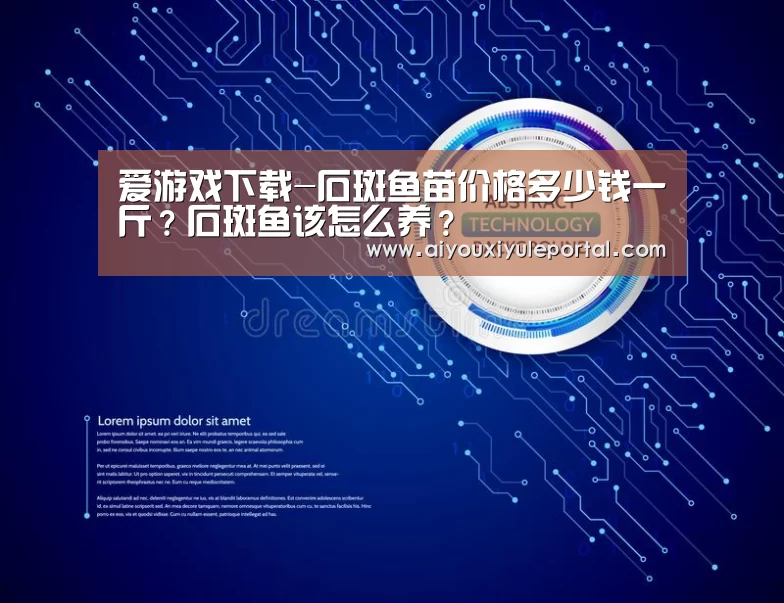 爱游戏下载-石斑鱼苗价格多少钱一斤?石斑鱼该怎么养?(图3) 爱游戏下载
