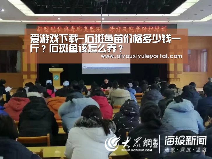 爱游戏下载-石斑鱼苗价格多少钱一斤?石斑鱼该怎么养?(图1) 爱游戏娱乐