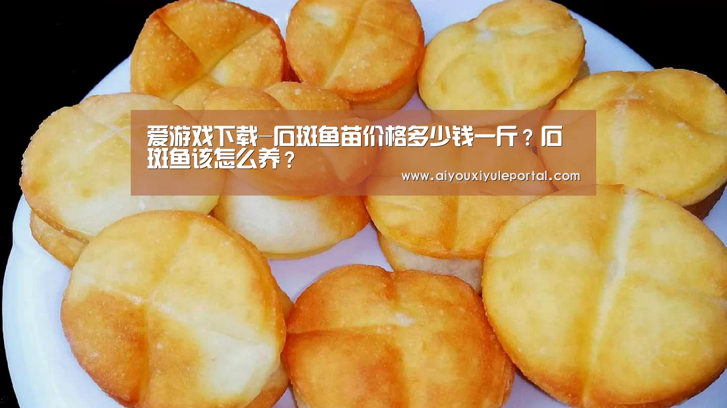 爱游戏下载-石斑鱼苗价格多少钱一斤?石斑鱼该怎么养?(图4) 爱游戏下载