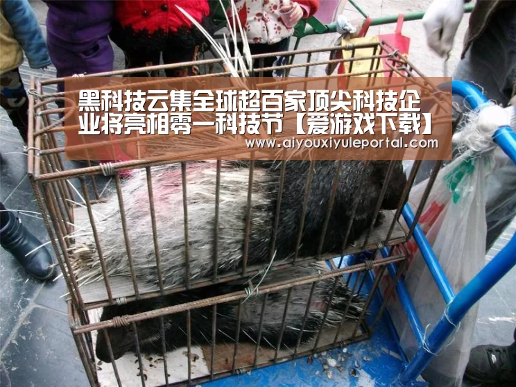 黑科技云集全球超百家顶尖科技企业将亮相零一科技节【爱游戏下载】(图2) 爱游戏百家乐