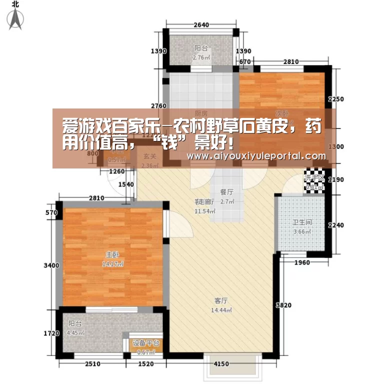 爱游戏百家乐-农村野草石黄皮,药用价值高,“钱”景好!(图1) 爱游戏真人