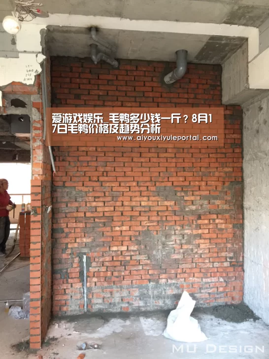 爱游戏娱乐_毛鸭多少钱一斤?8月17日毛鸭价格及趋势分析(图1) 爱游戏百家乐