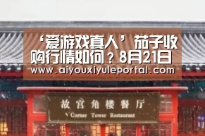 ‘爱游戏真人’茄子收购行情如何?8月21日茄子主产区收购行情(图1) 爱游戏真人