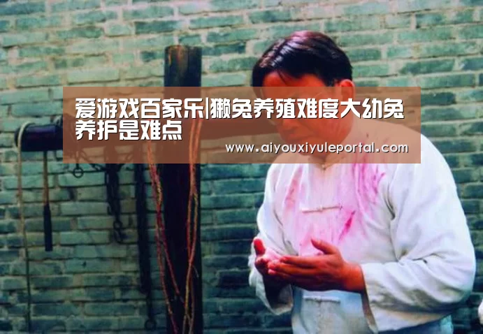爱游戏百家乐|獭兔养殖难度大幼兔养护是难点(图1) 爱游戏百家乐