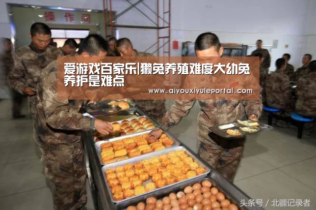 爱游戏百家乐|獭兔养殖难度大幼兔养护是难点(图2) 爱游戏娱乐
