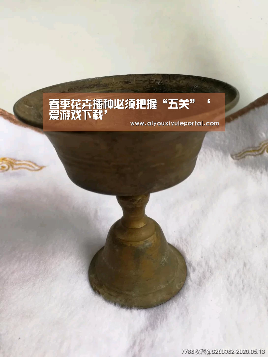 春季花卉播种必须把握“五关”‘爱游戏下载’(图3) 爱游戏下载