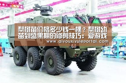 梨树苗价格多少钱一棵?梨树幼苗到盛果期的修剪技巧:爱游戏真人(图3) 爱游戏真人