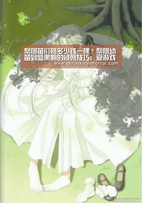 梨树苗价格多少钱一棵?梨树幼苗到盛果期的修剪技巧:爱游戏真人(图1) 爱游戏娱乐