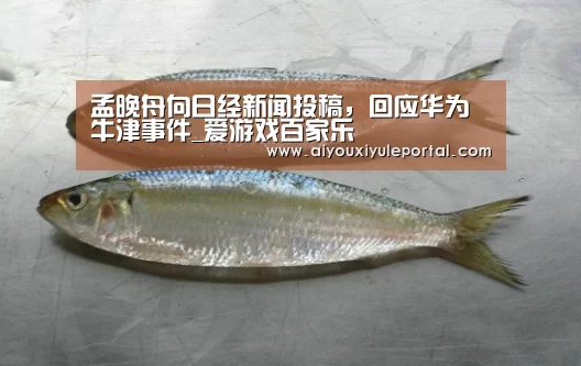孟晚舟向日经新闻投稿,回应华为牛津事件_爱游戏百家乐(图1) 爱游戏百家乐